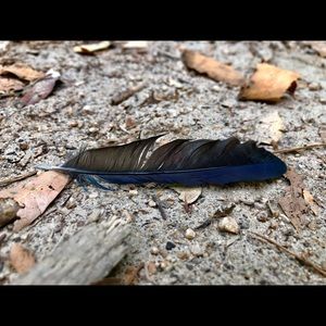 Meet your Posher, Gail